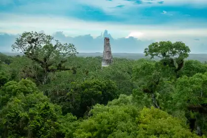 an-ancient-mayan-monument-in-tikal-national-park-2025-02-10-06-37-47-utc