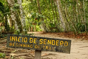 cahuita-national-park-beginning-of-the-jungle-pat-2024-12-09-00-58-08-utc