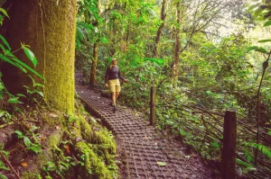 hike-in-costa-rica-2025-01-09-15-11-41-utc