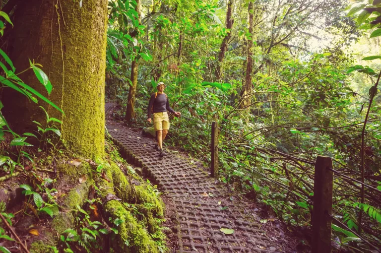 hike-in-costa-rica-2025-01-09-15-11-41-utc