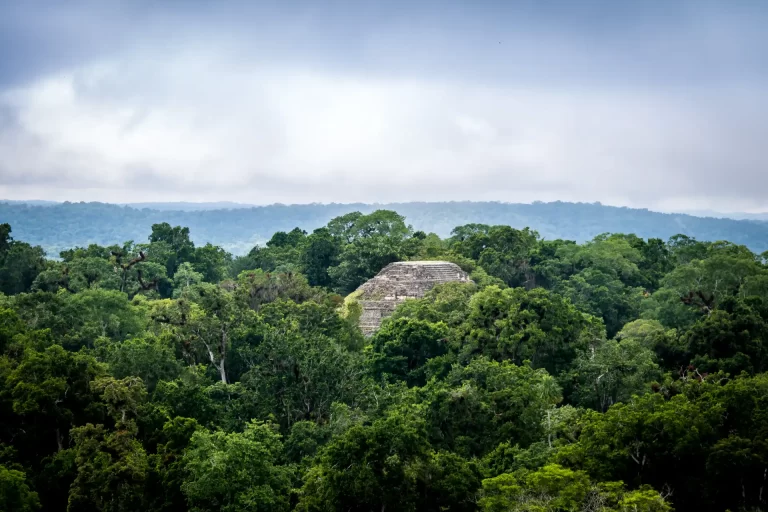 ruinas mayas selva Guatemala