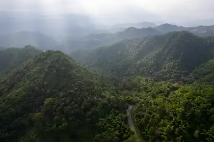 top-view-landscape-of-morning-mist-with-mountain-2025-02-11-09-30-28-utc